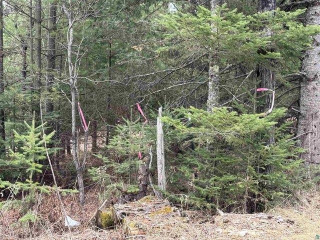 Land for sale in Duluth, Minnesota