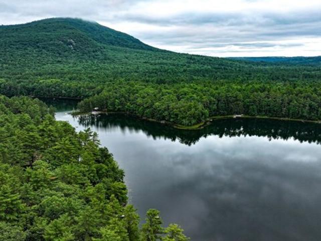 Land for sale in Denmark, Maine