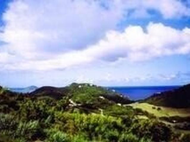 Land for sale in Saint Thomas, Missouri
