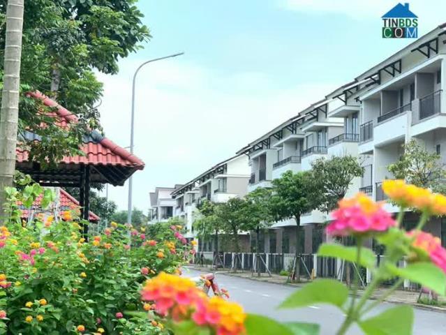 Nhà mặt phố bán tại Bắc Ninh