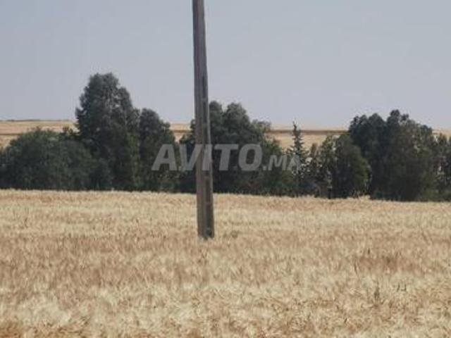 Propriété vente à Oued Zem