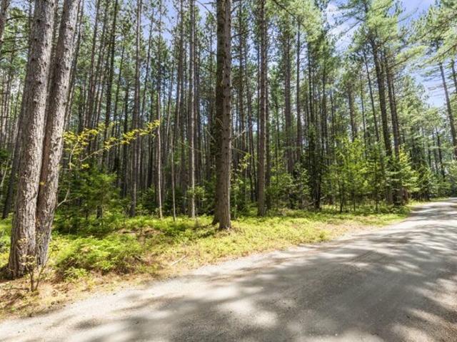 Land for sale in Eustis, Franklin County