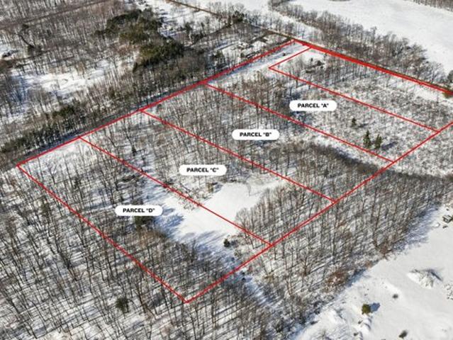 Land for sale in Allegan, Michigan