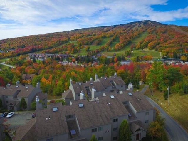 Condo for sale in Dover, Windham County