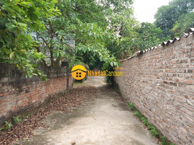 Mặt bằng bán