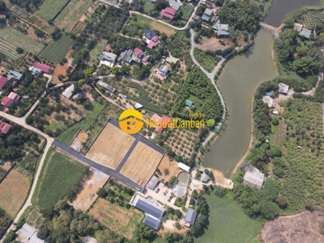 Mặt bằng bán