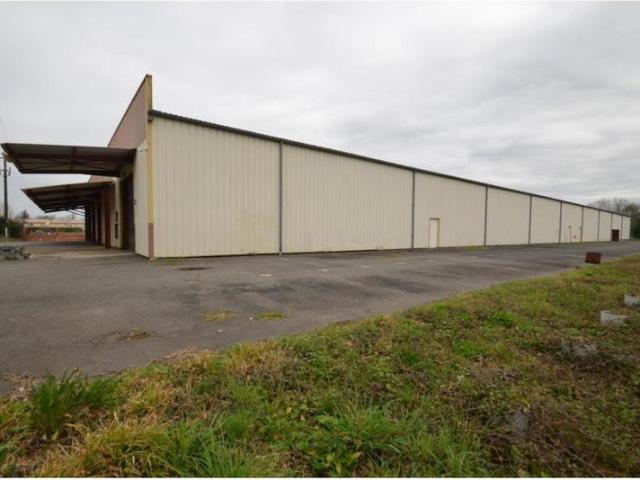 Appartement vente à Périgueux, Moulin-neuf