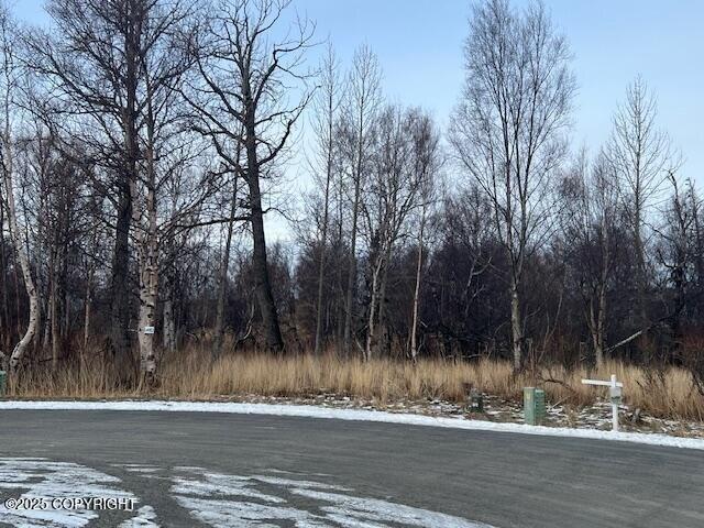 Land for sale in Palmer