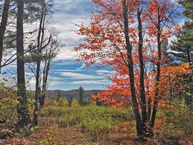 Land for sale in Berkshire, Massachusetts