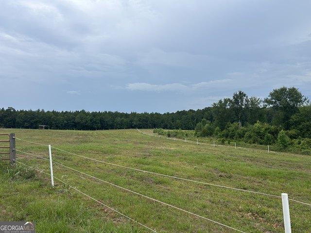 Land for sale in Dodge, Georgia