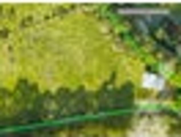 Land for sale in Kawau Island