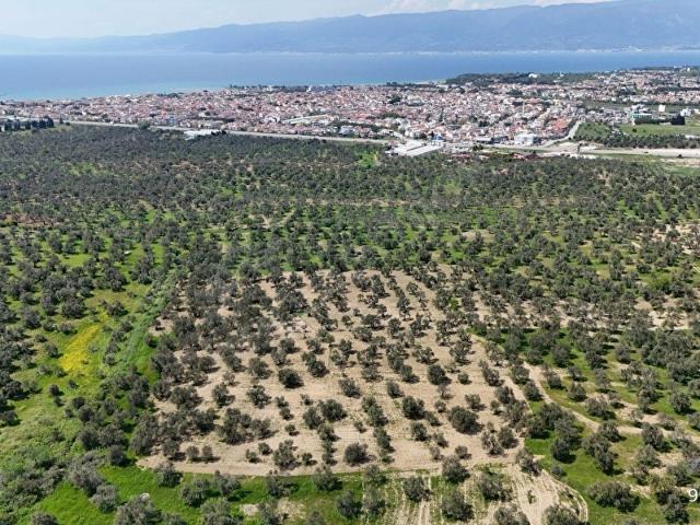 Burhaniye, Balikesir içerisinde satılık mülk