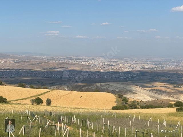 Ayaş, Ankara içerisinde satılık Arsa