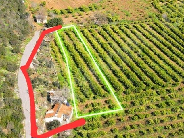Menderes, İzmir içerisinde satılık Arsa