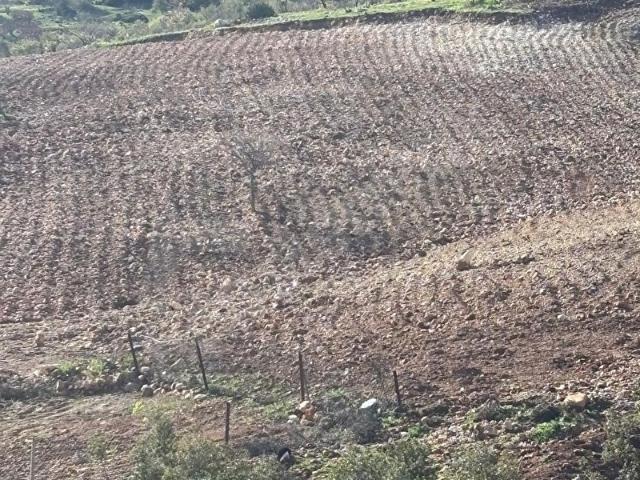 Ilıcak Mahallesi, Yavuzeli içerisinde satılık mülk