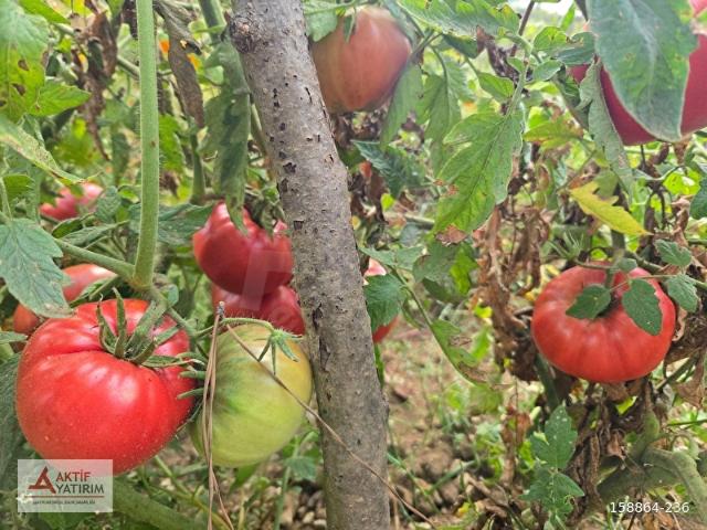 Kandira, Kocaeli içerisinde satılık Arsa