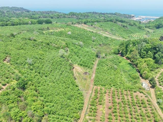 Kandira, Kocaeli içerisinde satılık Arsa
