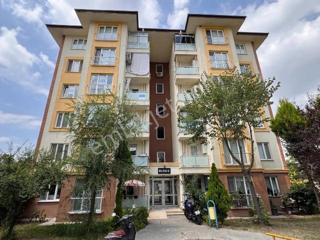 Başiskele, Kocaeli içerisinde kiralık mülk