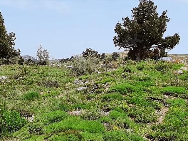 Konyaalti, Antalya içerisinde satılık mülk