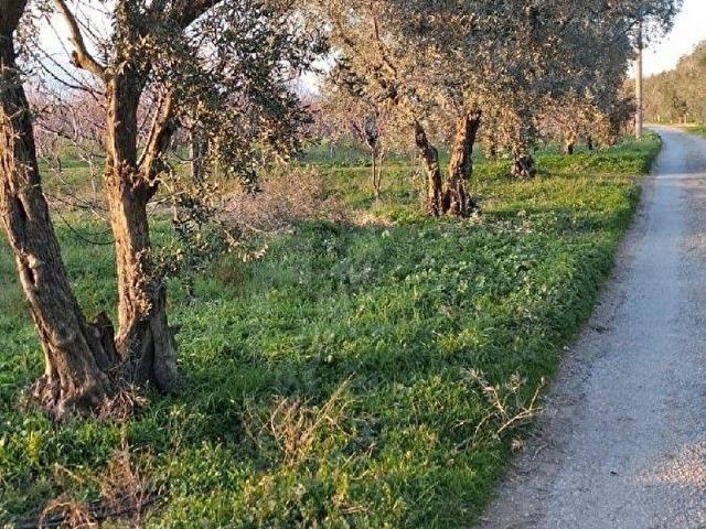 Kemalpaşa, İzmir içerisinde satılık mülk