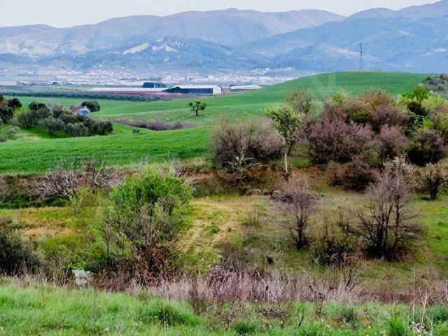 Kemalpaşa, İzmir içerisinde satılık Arsa