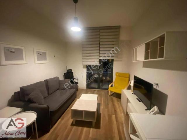 İstanbul içerisinde kiralık mülk