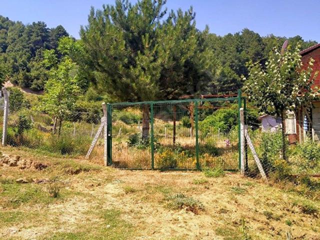 Babadağ, Denizli içerisinde satılık mülk