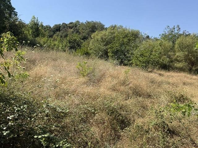 Babadağ, Denizli içerisinde satılık mülk