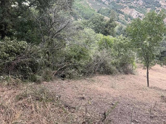 Babadağ, Denizli içerisinde satılık Arsa