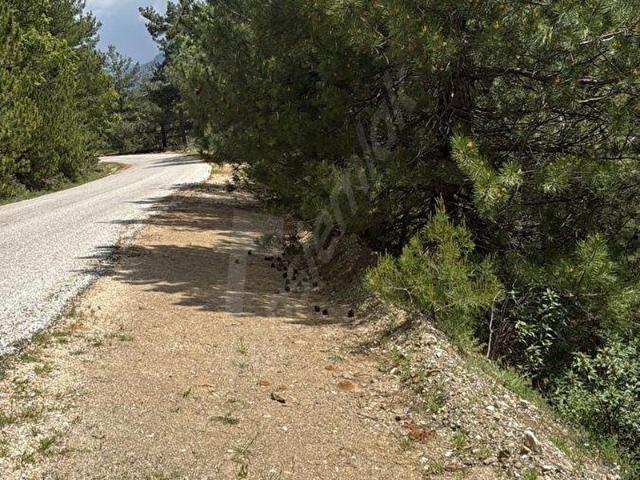 Babadağ, Denizli içerisinde satılık Arsa