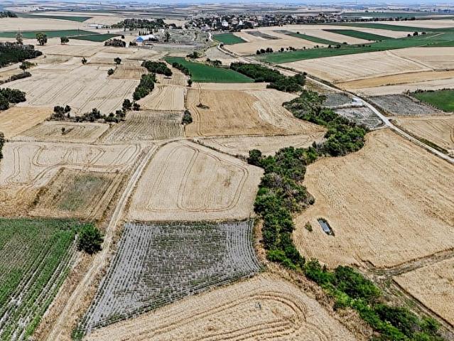 Ertuğrulköy, Babaeski içerisinde satılık Arsa
