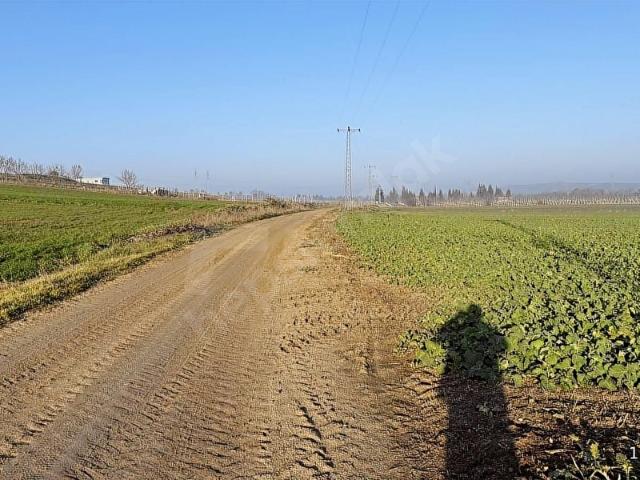Pancarköy, Babaeski içerisinde satılık Arsa