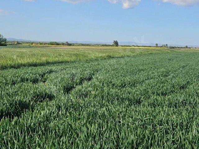 Gaziosmanpaşa Mahallesi, Babaeski içerisinde satılık Arsa