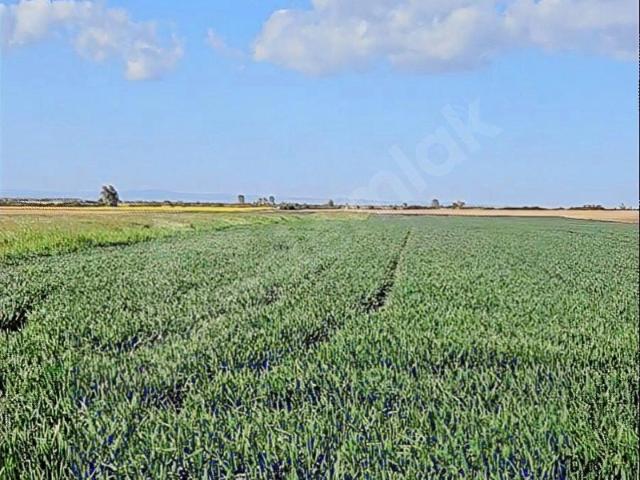 Gaziosmanpaşa Mahallesi, Babaeski içerisinde satılık Arsa