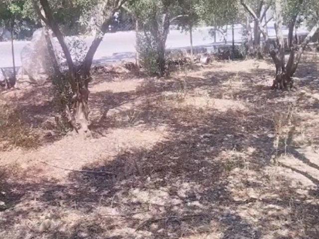 Fethiye, Muğla içerisinde satılık Arsa