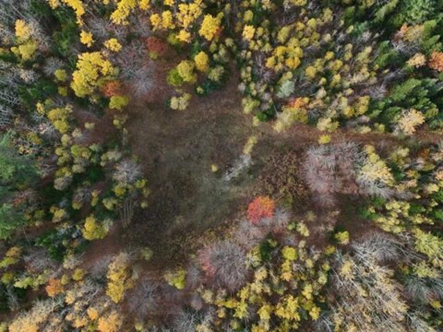 Land for sale in Hampden, Maine