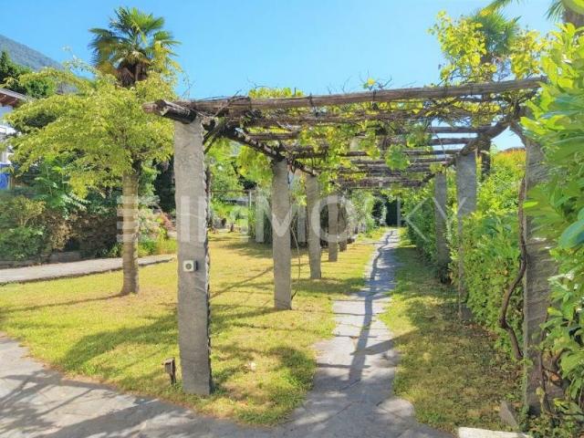 Wohnung kaufen in Muralto, Tessin