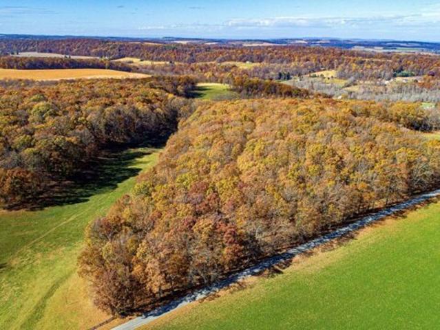 Land for sale in New Freedom