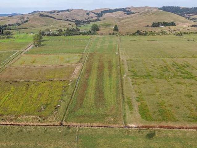 Property for sale in Waitakaruru, Waikato