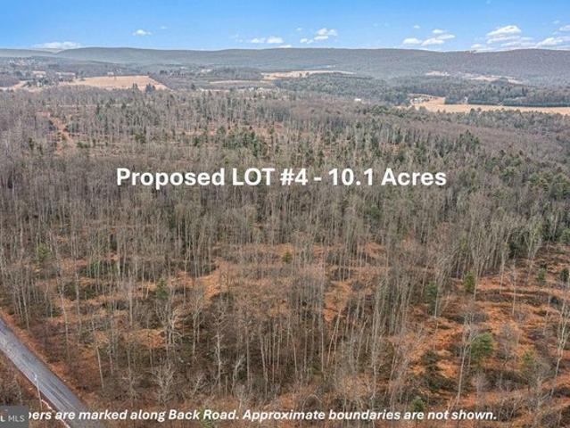Land for sale in Barnesville, Pennsylvania