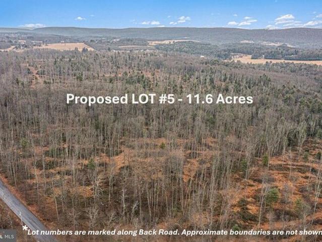 Land for sale in Barnesville, Pennsylvania