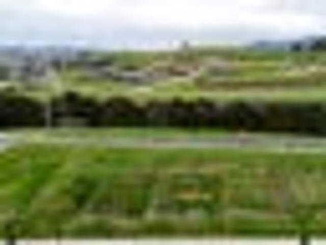 House for sale in Kawau Island