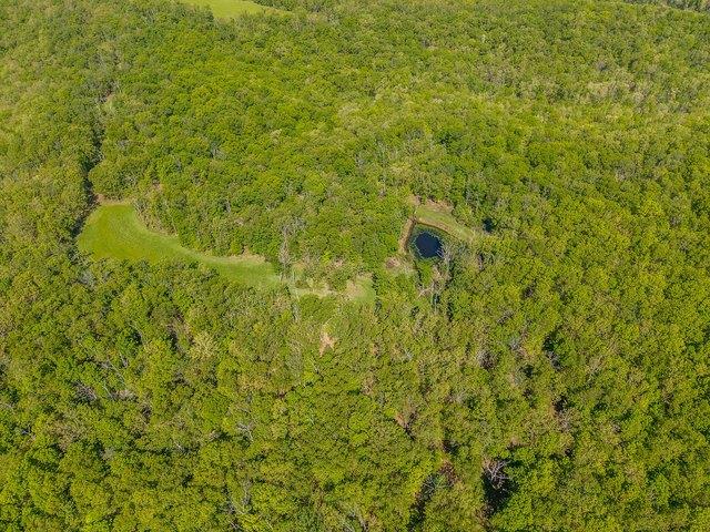 Land for sale in Dixon, Missouri