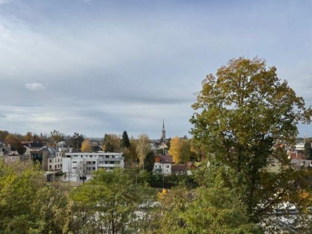 Wohnung kaufen in Bad Hall, Oberösterreich