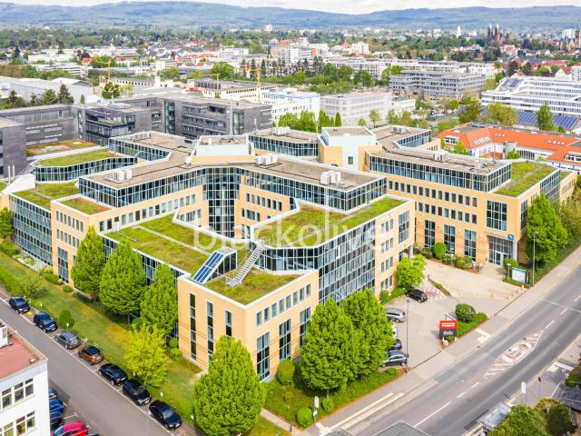 Wohnung mieten in Bad Homburg, Hessen