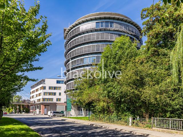 Wohnung mieten in Bad Homburg, Hessen