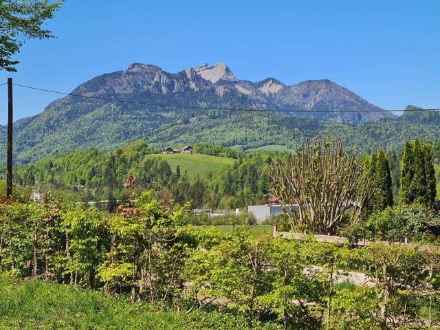 Immobilie kaufen in Ahorn, Oberösterreich