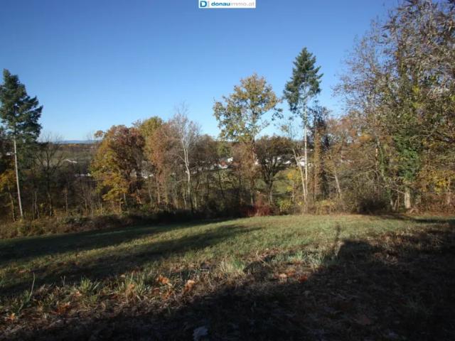 Grundstück kaufen in Bad Tatzmannsdorf, Burgenland