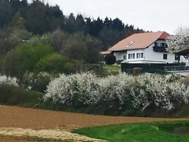 Haus kaufen in Bad Waltersdorf, Steiermark