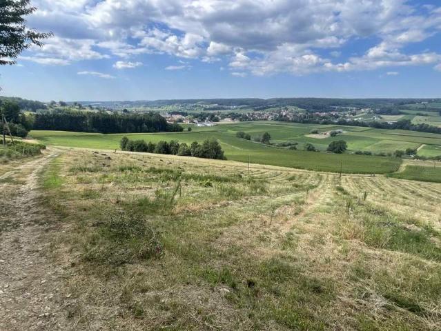 Gewerbe kaufen in Steiermark